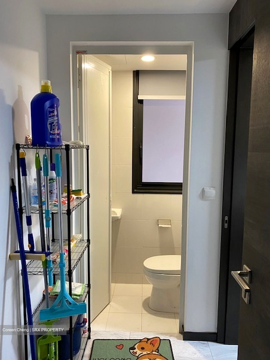 The Poiz Residences (D13), Apartment #325338121